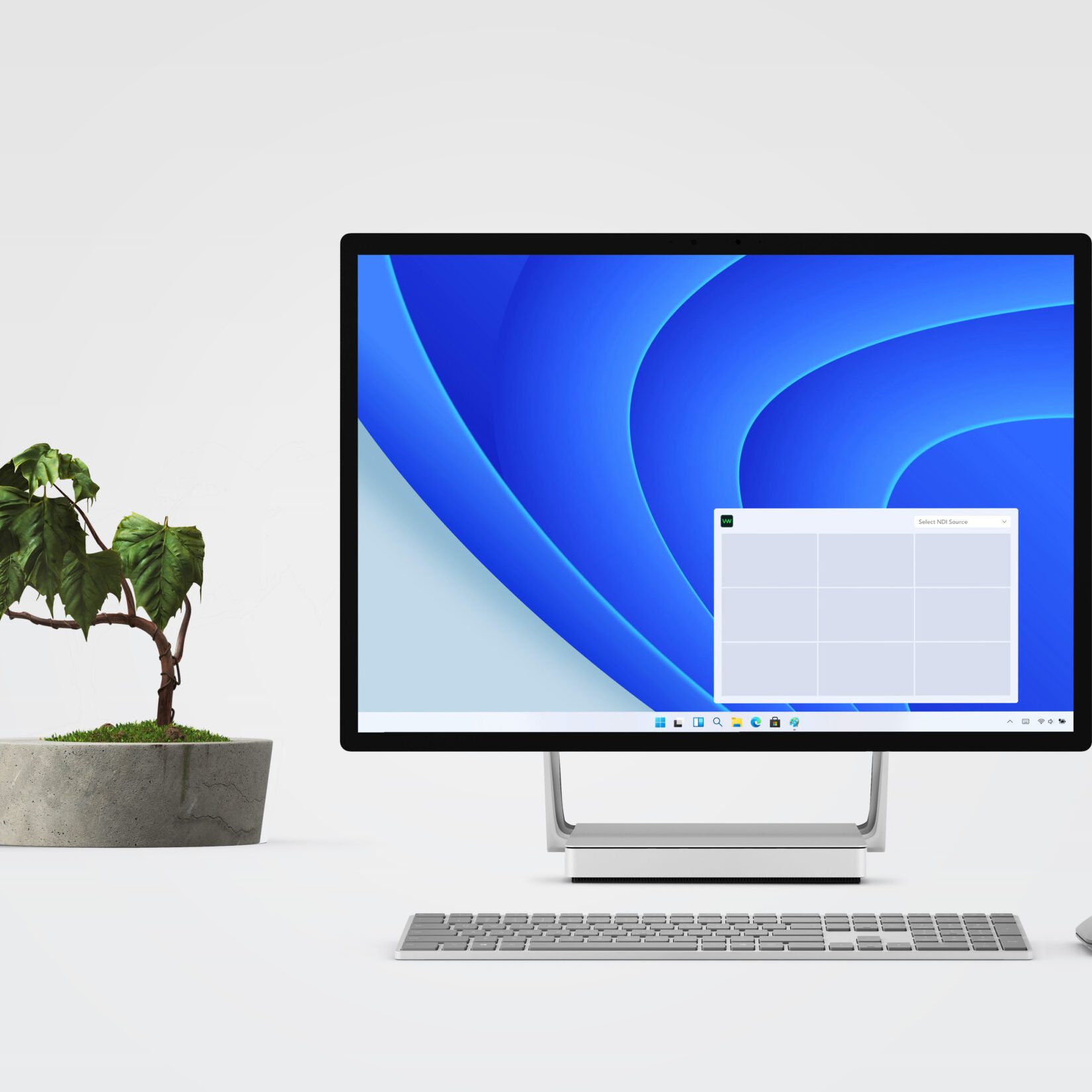 BirdDog Releases New VideoWall Software