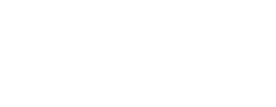 Flex Rental Solutions logo